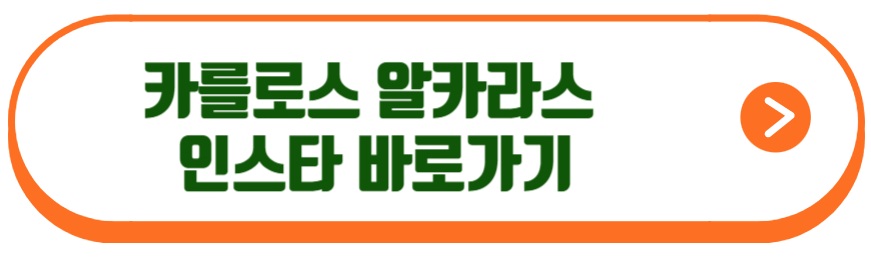 카를로스 알카라스 야닉 시너