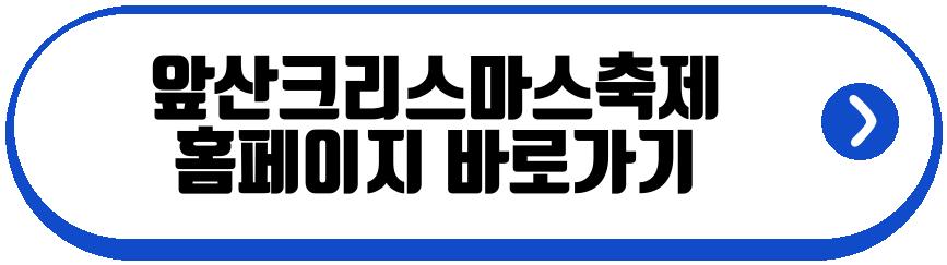 앞산크리스마스축제