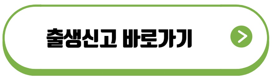 출생신고