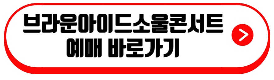 브라운아이드소울 콘서트