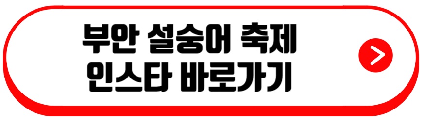 부안 설숭어 축제