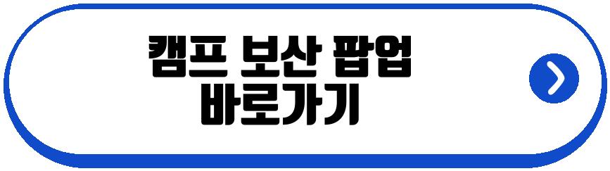 캠프 보산 팝업