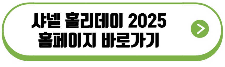 샤넬 홀리데이 2025