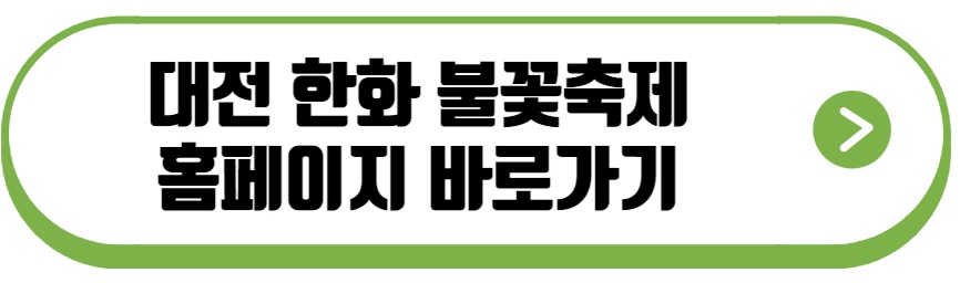 대전 불꽃축제