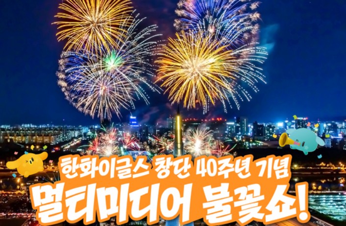 대전 불꽃축제