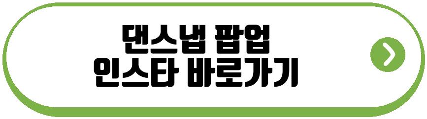 댄스냅 팝업