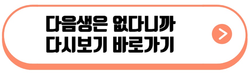 다음생은 없다니까 드라마