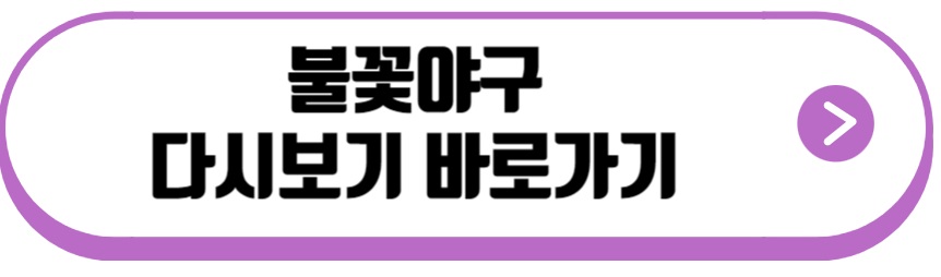 불꽃야구