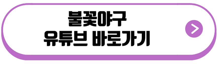 불꽃야구