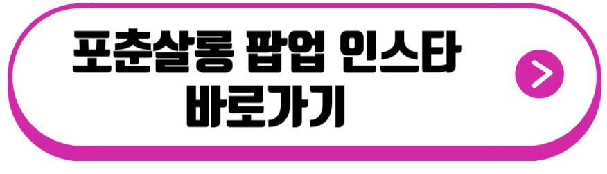 포춘살롱 팝업