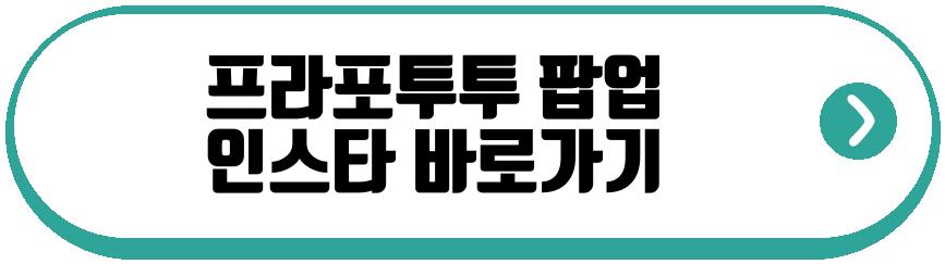 프라포투투 팝업