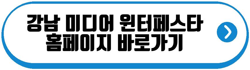 강남 미디어 윈터페스타