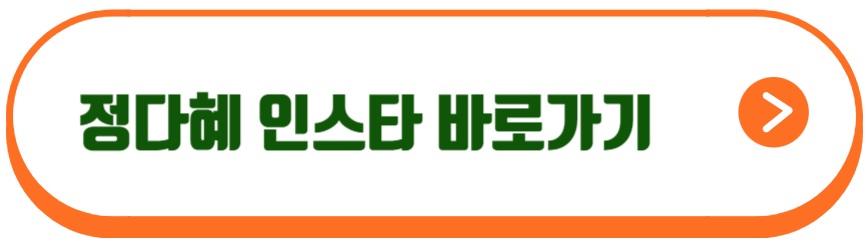 지방시 정다혜