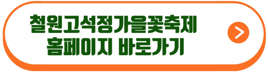 고석정가을꽃축제