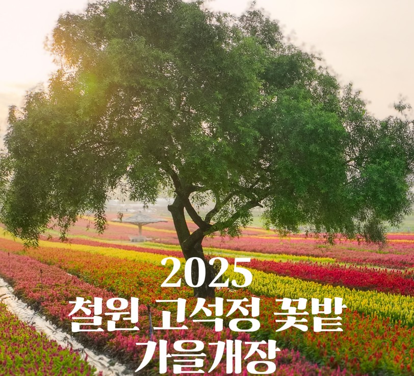 고석정가을꽃축제