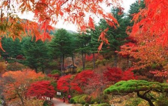 경기도 단풍 명소