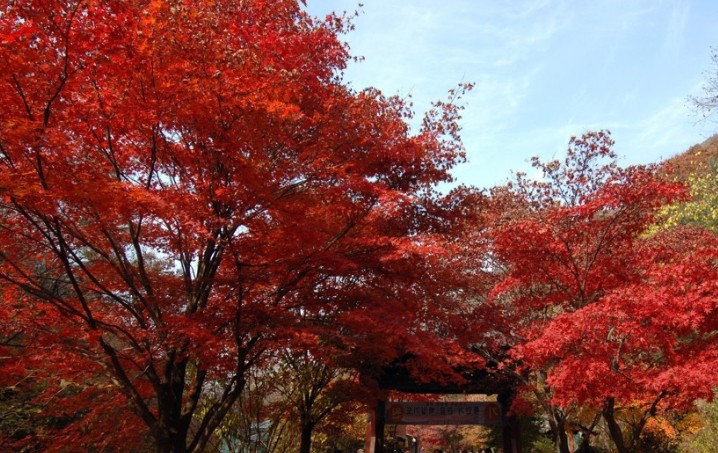 경기도 단풍 명소