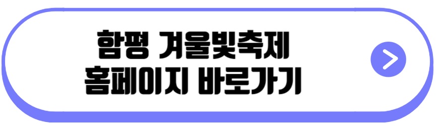 함평겨울빛축제