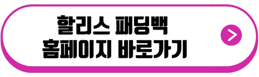 할리스 패딩백