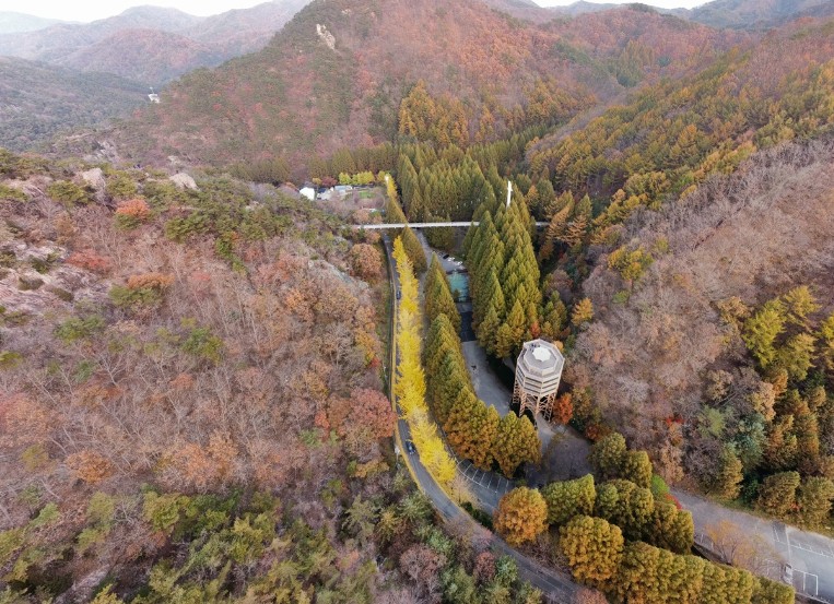 장태산