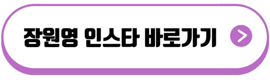 장원영 인스타