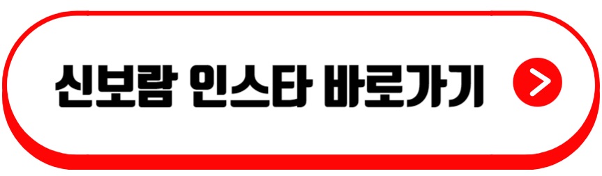 신보람 인스타