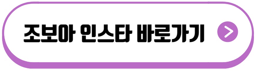 조보아