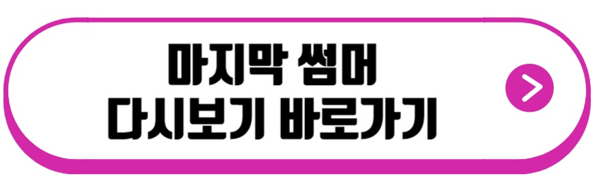 마지막 썸머 드라마