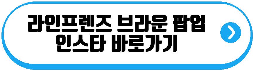 라인프렌즈 브라운 15주년 팝업