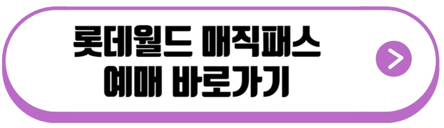 롯데월드 매직패스
