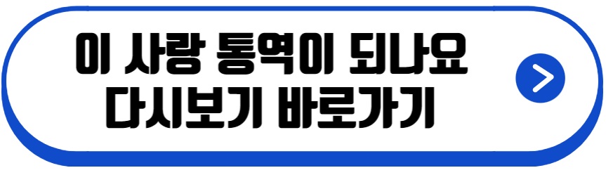 이 사랑 통역 되나요