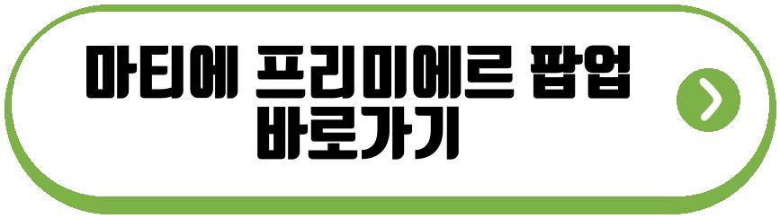 마티에 프리미에르 롯데월드 팝업 스토어