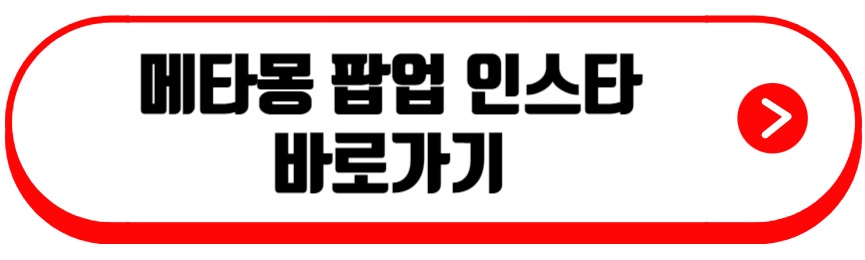 메타몽 팝업