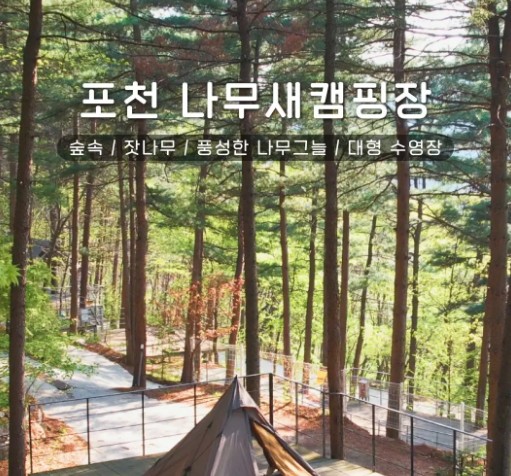 포천 나무새 캠핑장