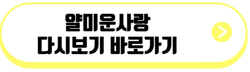얄미운 사랑 드라마