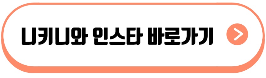 니키 니와