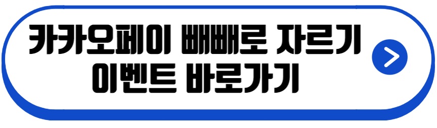카카오페이 빼빼로