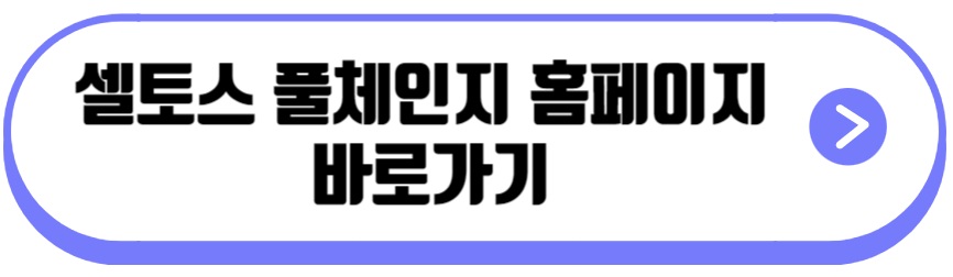 셀토스 풀체인지