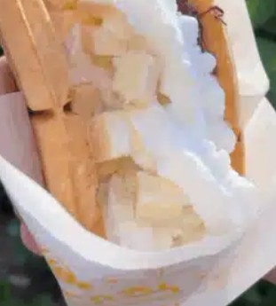 와플대학 홈페이지 바로가기
