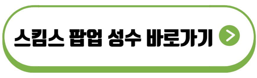스킴스 팝업