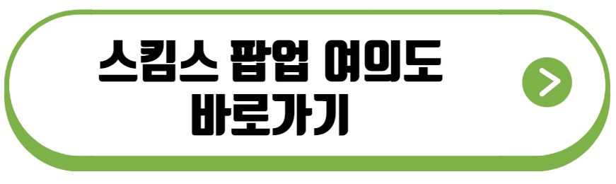 스킴스 팝업