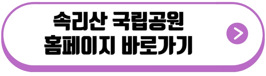 속리산 단풍