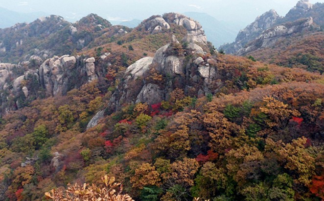 속리산 단풍