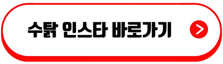 수탉인스타