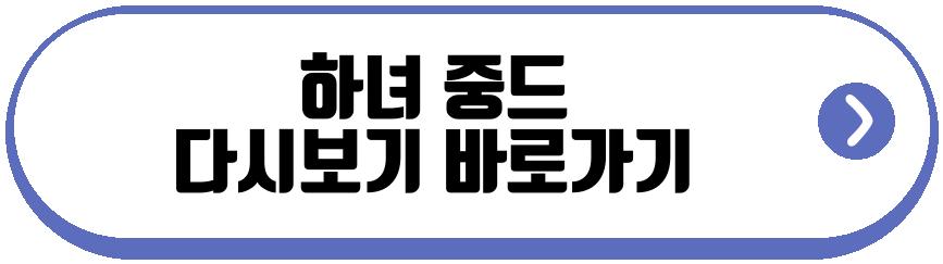 하녀 중드