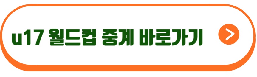 u17 월드컵