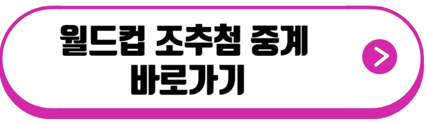 월드컵 조추첨