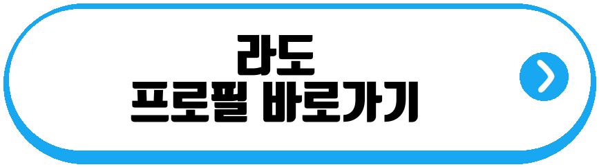 에이핑크 보미 라도