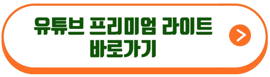 유튜브프리미엄 라이트