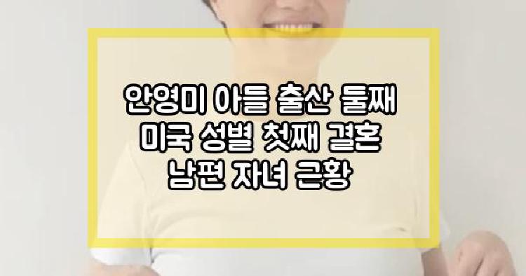 안영미 아들 출산
